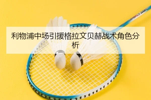 利物浦中场引援格拉文贝赫战术角色分析